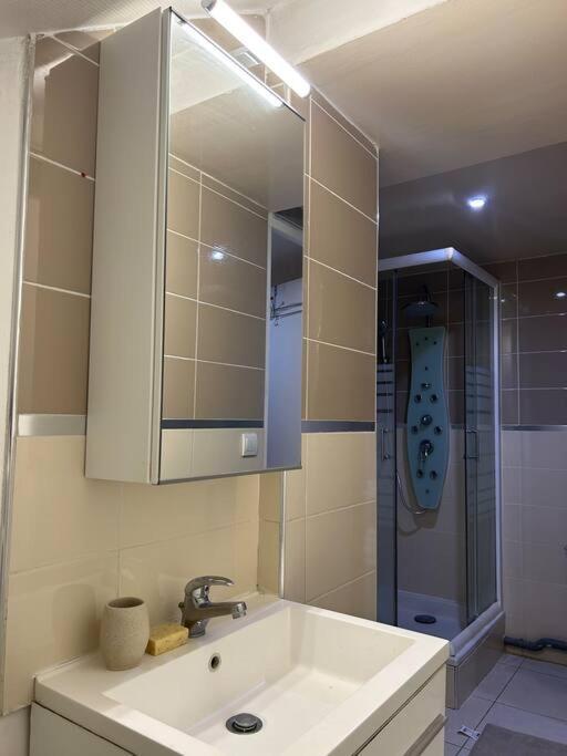 Cosy Studio - 10 Min Away From Cdg Aeroport - 30 Min Away From Paris - Parc Asterix - Olympic Games 2024 Le Thillay Esterno foto